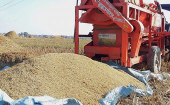 Rice import decreased