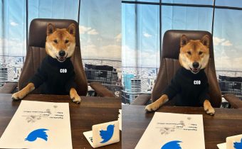 The new CEO of Twitter is amazing