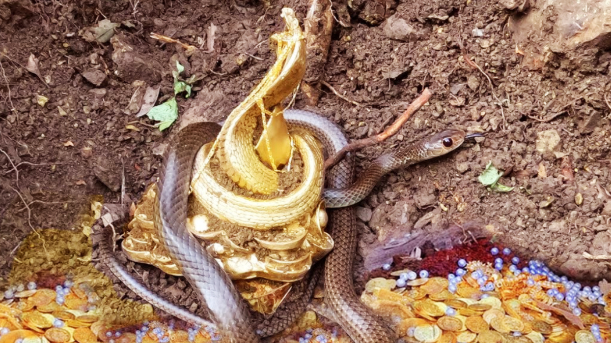gold and pearls save snake god