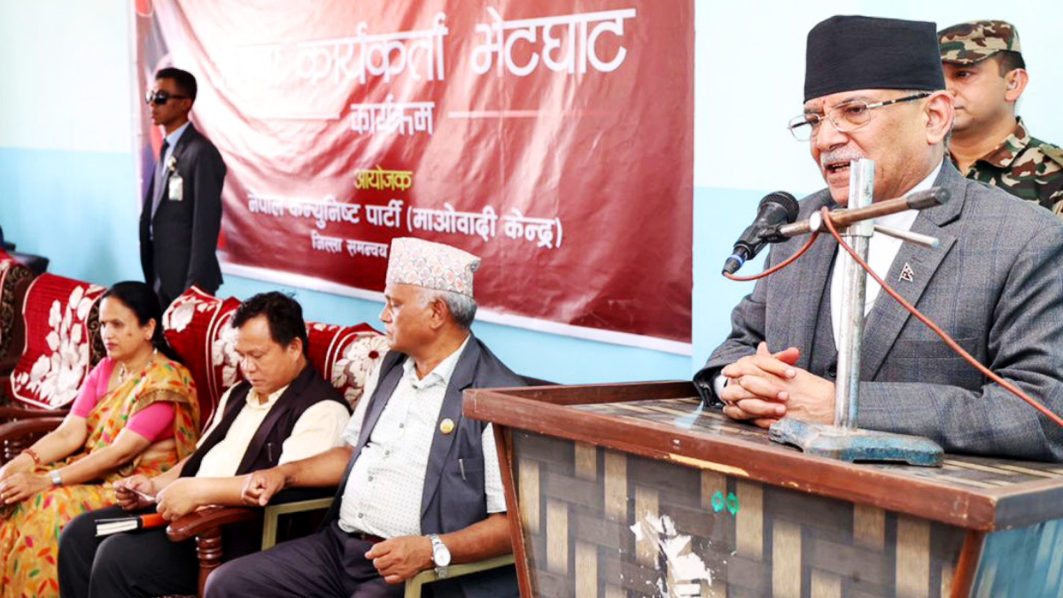 government government