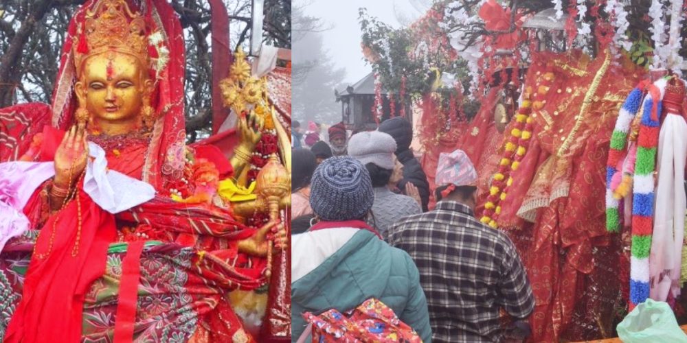 Devotees offered 98 tolas of gold in Pathibhara in 15 months