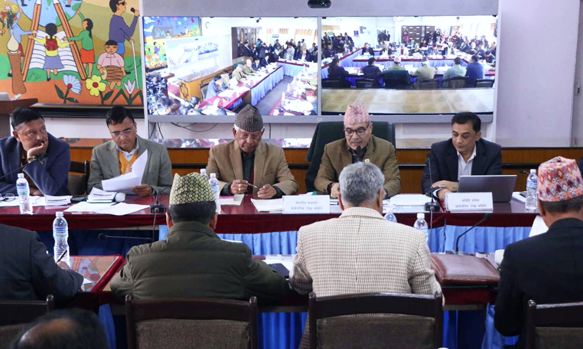 The Audit Committee directed the government to stop buying and selling shares of Ncell