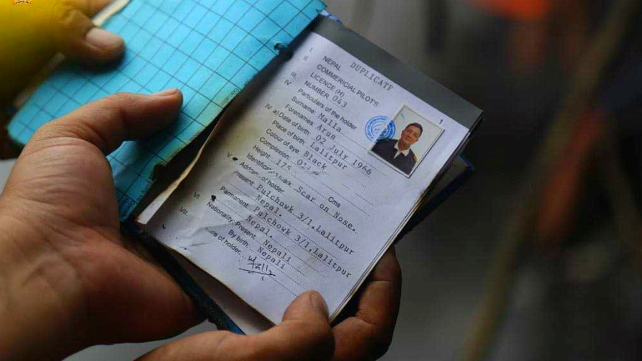 pilot license