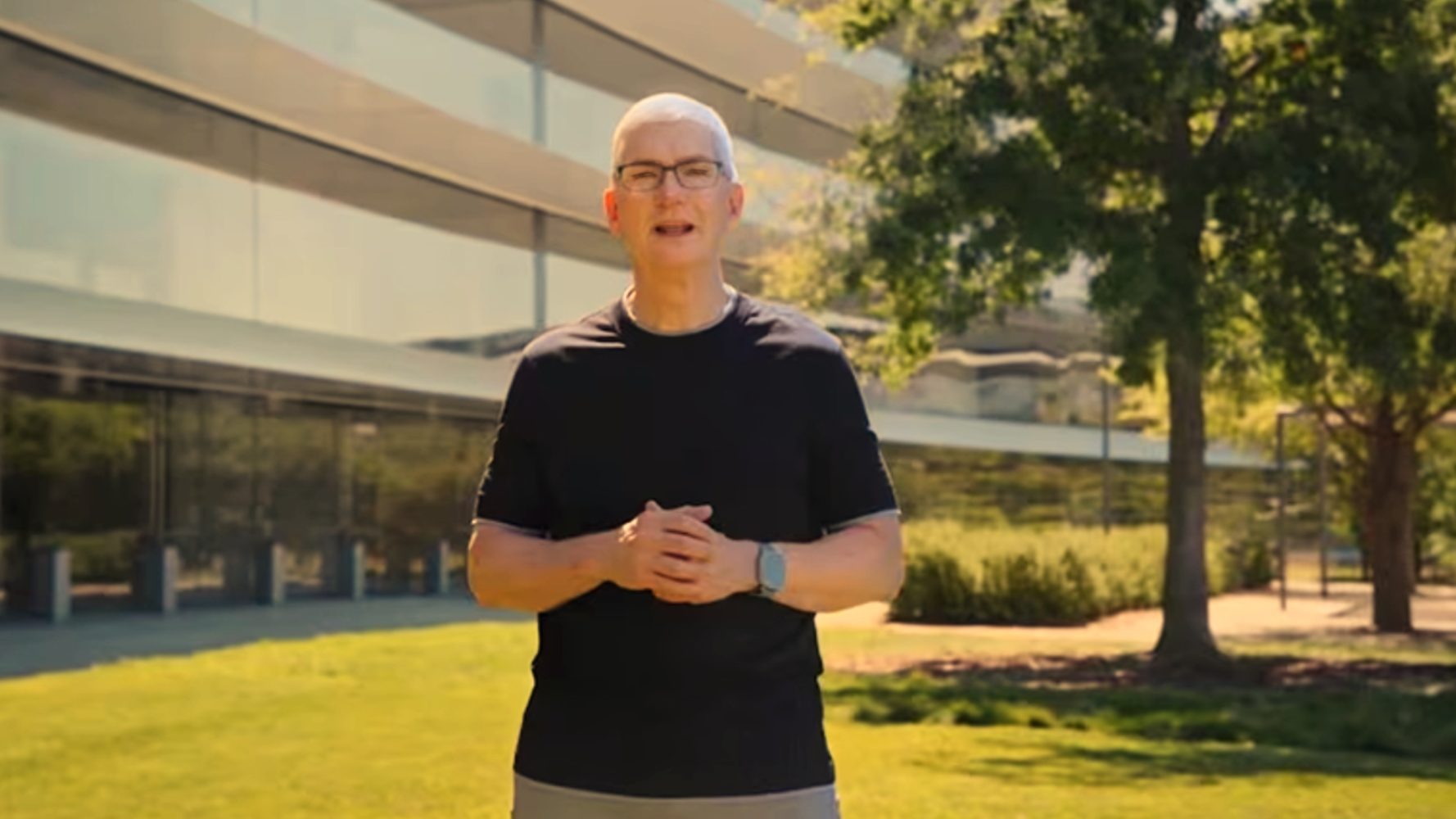 apple CEO tim cook