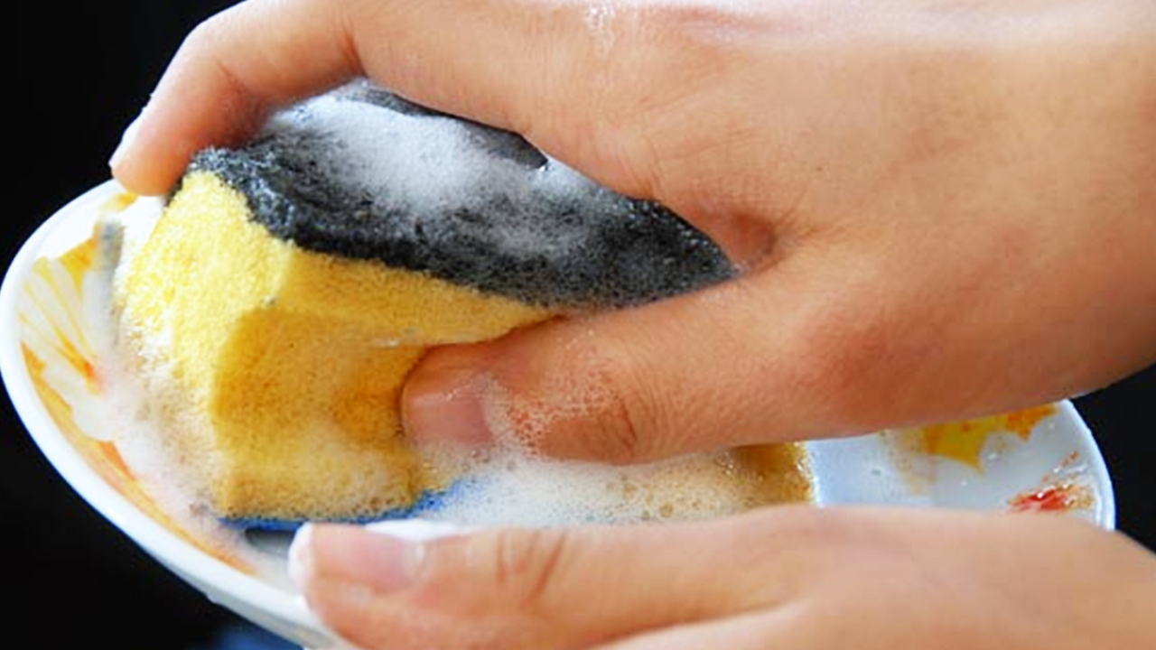 Why Using a Sponge to Wash Dishes Can Be Dangerous and What the Alternative Is