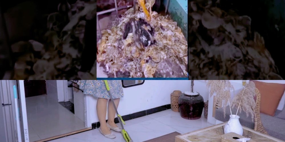 Girls’ Hostel Condoms Case